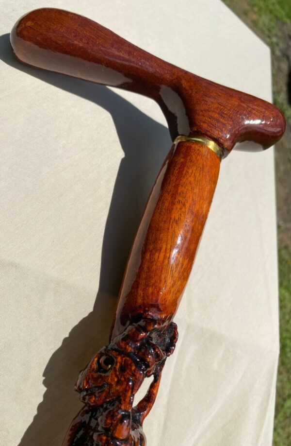 Khaya Dragon Cane - Image 6