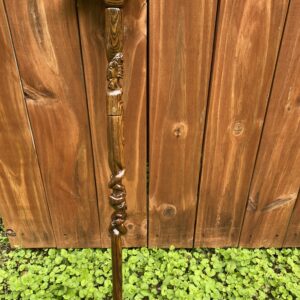 bocote cane dragon cane