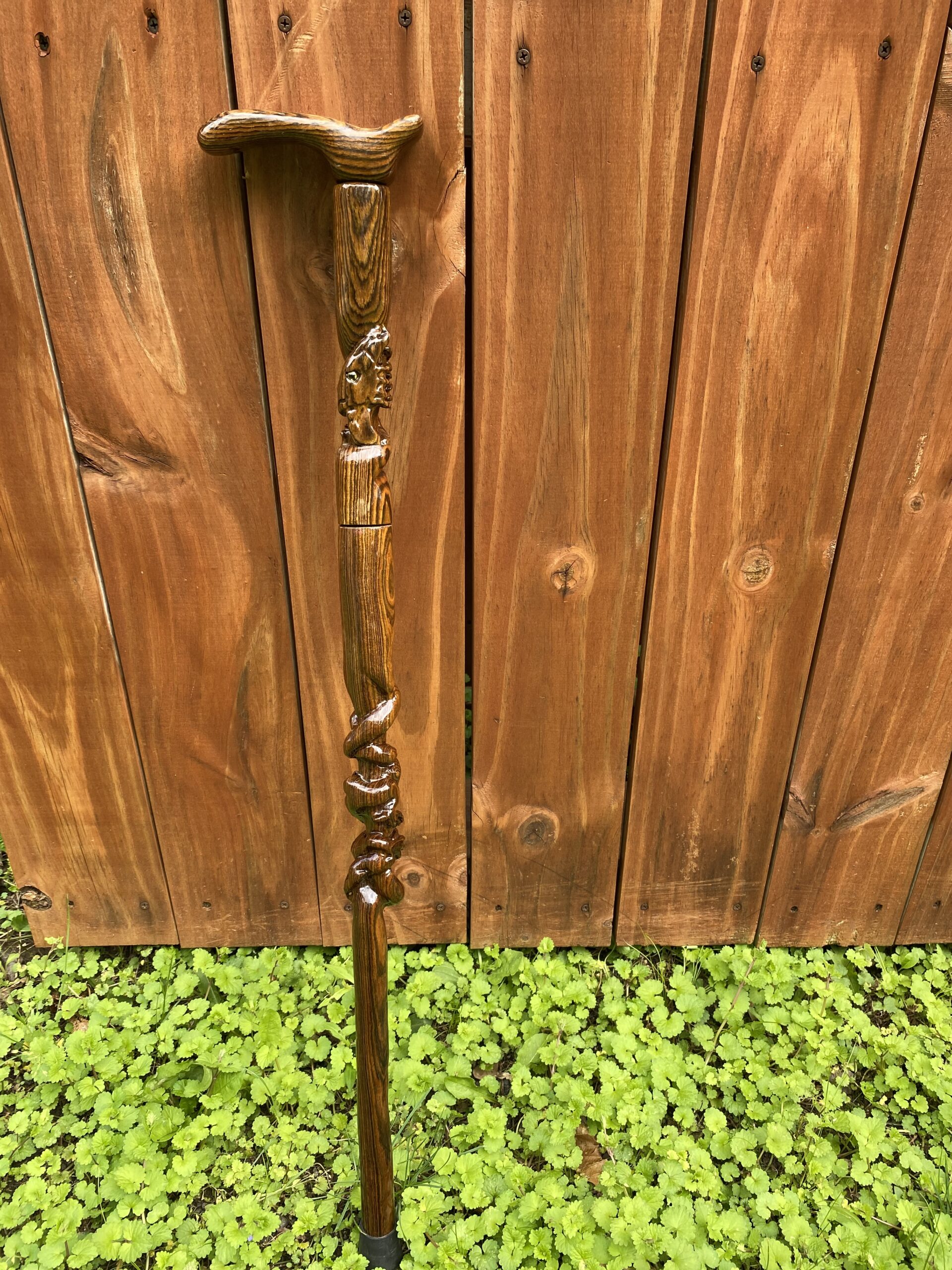 Bocote Cane - Dragon